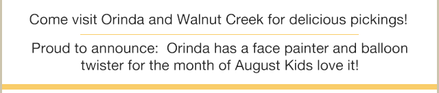 Face painter & Balloon twister at the Orinda Market in August!