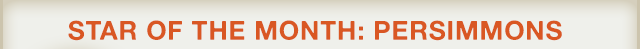 Star of the Month: Persimmons